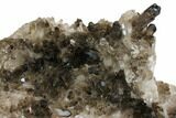 Tall, Free-Standing Smoky Quartz Cluster - Brazil #137843-2